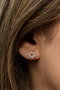 Heliophilia Silver Pendientes de Plata de Ley 925 con Oro Rosa y Circón NRZ999487